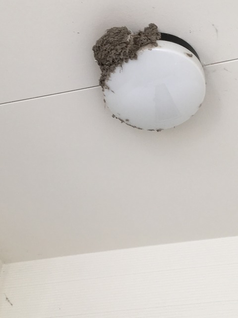 3F8BEDDF-836E-4AD7-94CF-63083A04BA05