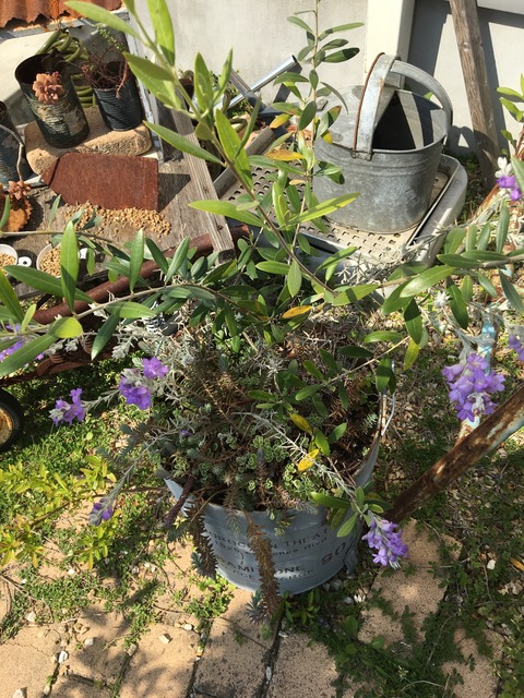 6CB10191-FC11-4F29-B4C1-0452C65DBB2B