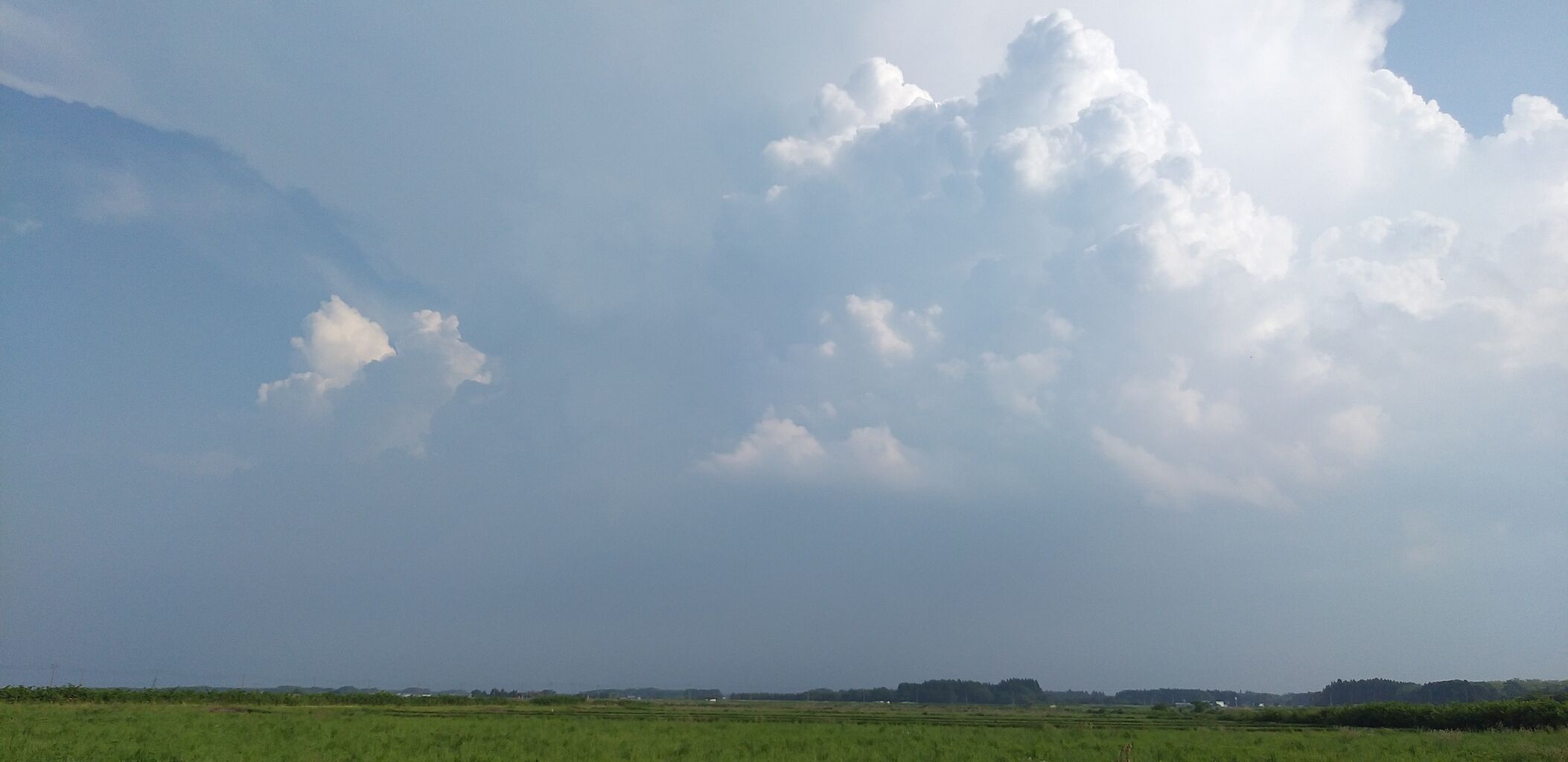 風景 青森県おいらせ町 向山駅愛好会 のブログ