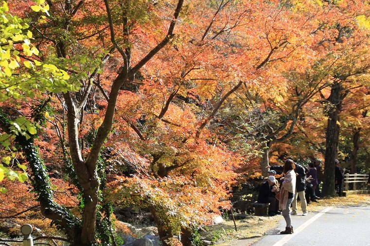 豪渓の紅葉 おやじの写真日記 豪渓の紅葉 おやじの写真日記