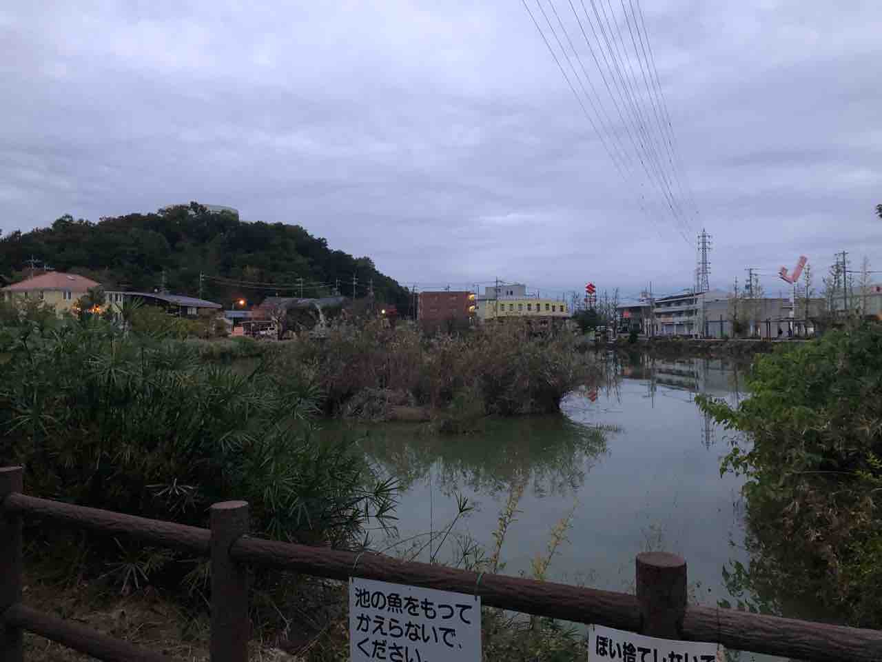 President Mukkie ムッキー社長 なにか釣れますか 東島池公園 岐阜県各務原市 釣り 投げ釣り禁止 ルアー釣り禁止 延べ竿ok