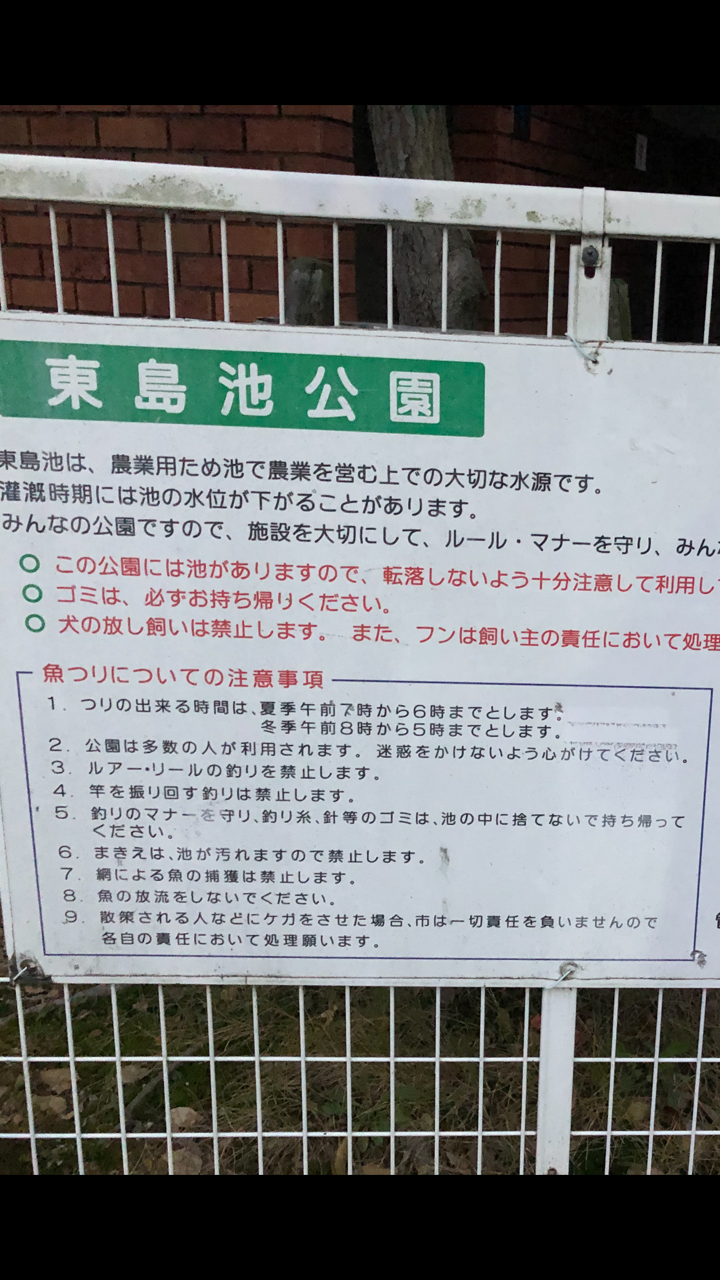 President Mukkie ムッキー社長 なにか釣れますか 東島池公園 岐阜県各務原市 釣り 投げ釣り禁止 ルアー釣り禁止 延べ竿ok
