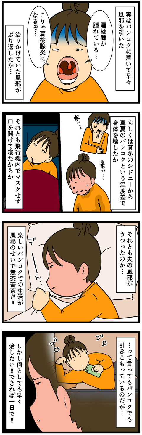 風邪を引いたらこれが効く (2)