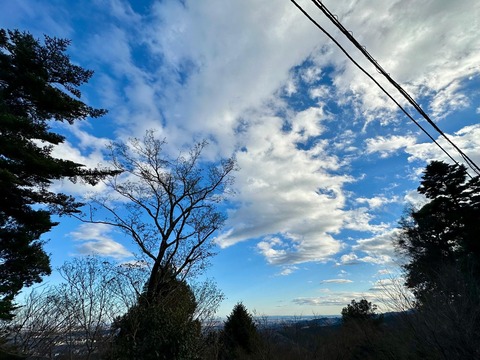 PHOTO-2025-01-27-02-51-55 3