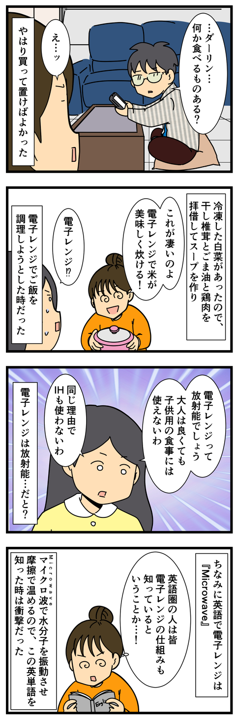食材買って置けばよかった (3)