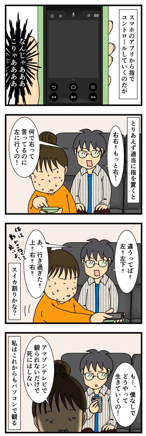 謎のアマゾンスイッチ (3)