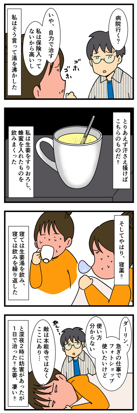 風邪を引いたらこれが効く (3)