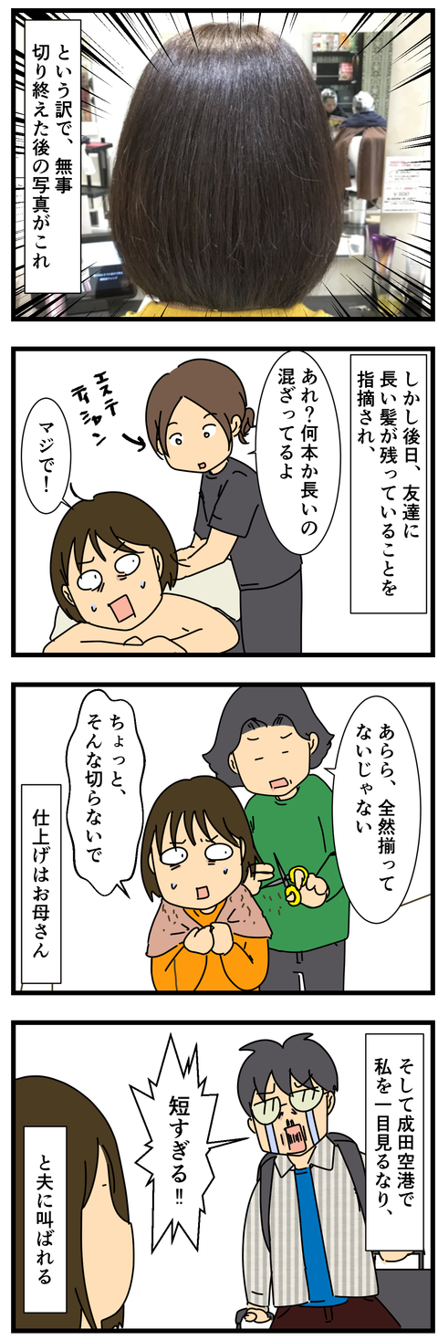 ヘアドネーション (3)