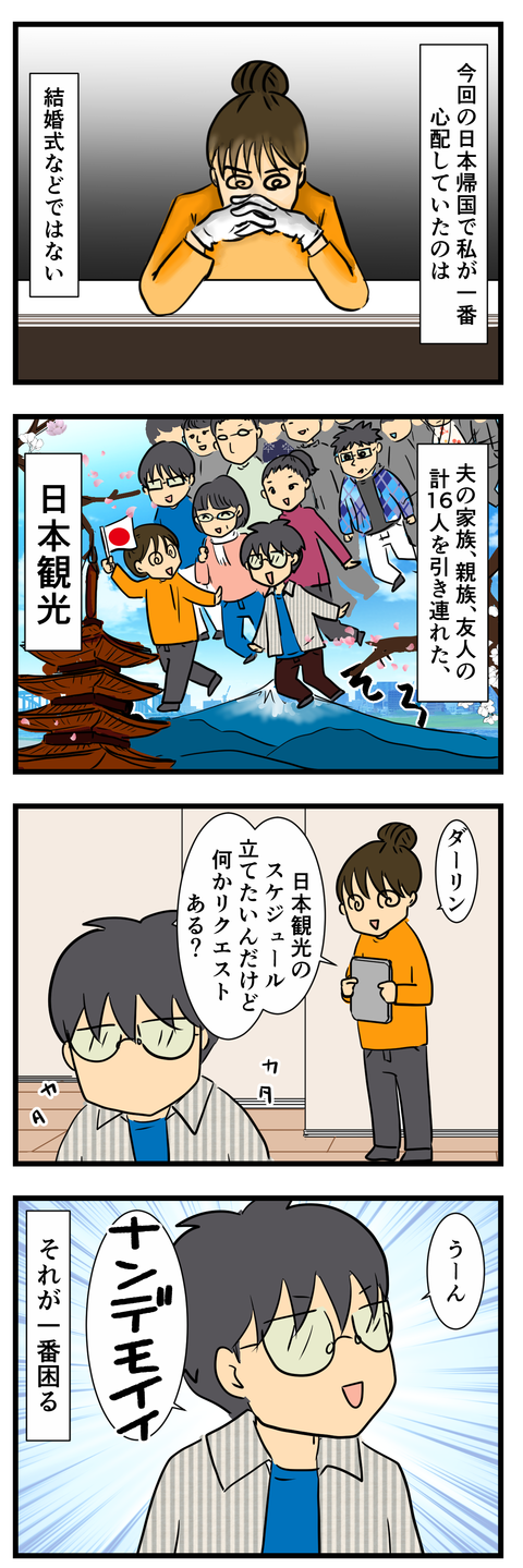 今回の日本帰国で心配したこと