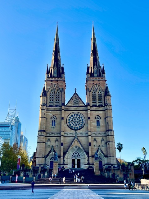 28B6FC76-5233-4075-86C2-FA6A69990D36