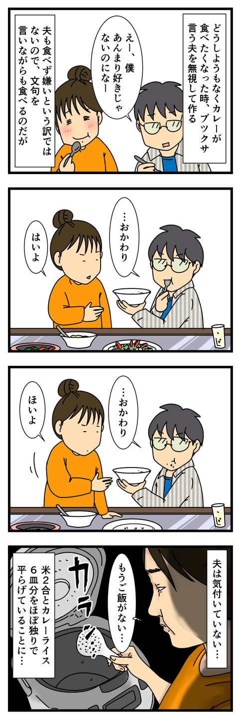 カレーにチーズ (3)