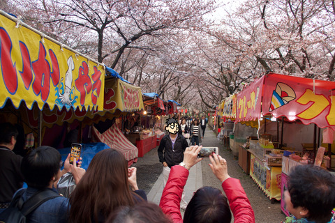 平野神社-s