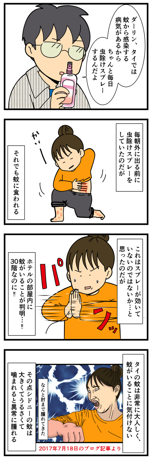 虫除けスプレー必須、タイ‼ (2)