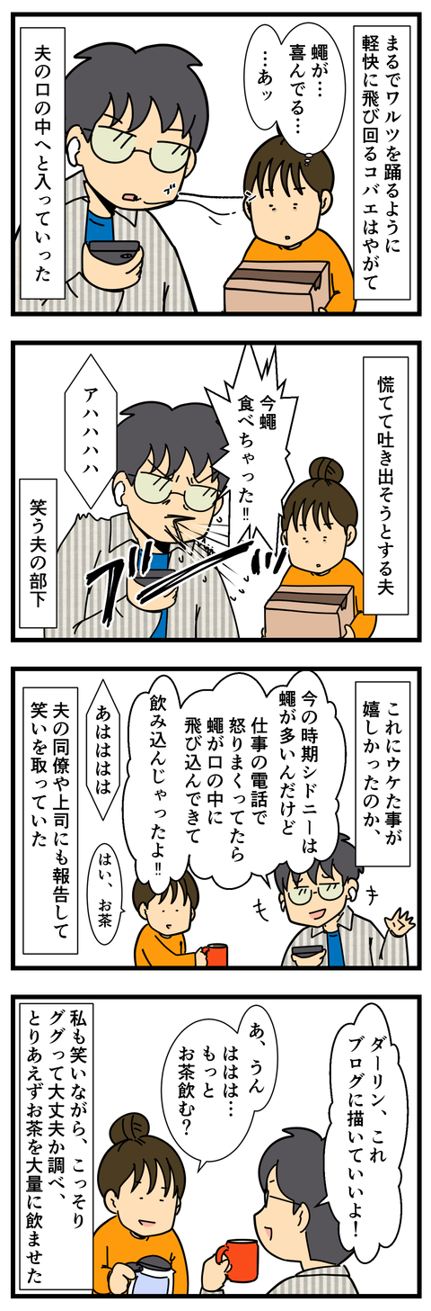 忙しい夫を狙う蠅 (2)