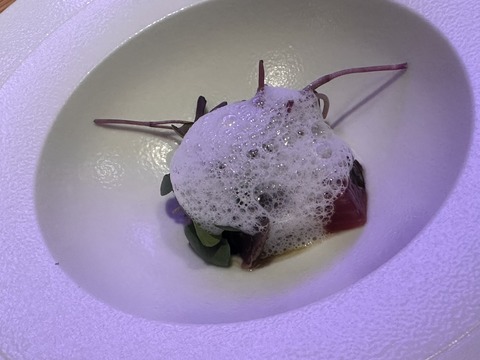 6D354F5D-518C-41A1-95FE-981F846B3A752025-09-13_19-05-44_665