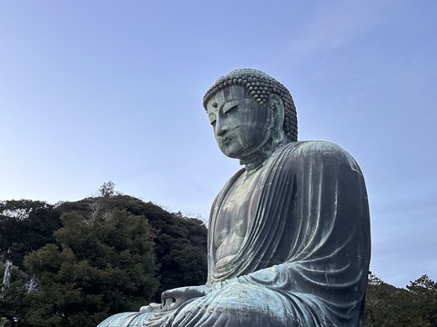 460C6798-3EF4-412C-9219-8E42B10ECE362024-12-30_16-44-25_478