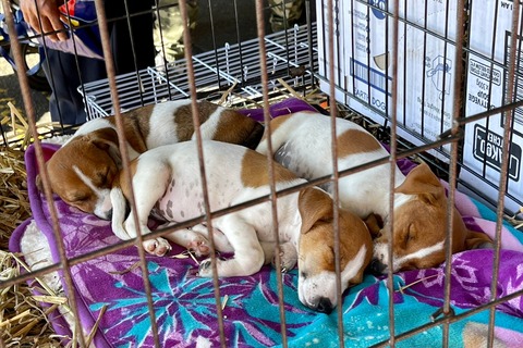 CEE10FEA-0D8D-4CED-A95E-91D0DF9C3146