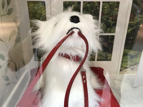 jNoGcMpGHi1EboWvI7AS7MaV8-B4XZXewzQp-3cJMpIpX92IB