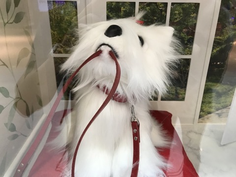 kpeXHfK-NIuHFG8QhS1c0ubacX4CuOemGQ0CSQBvG0YpX92IB