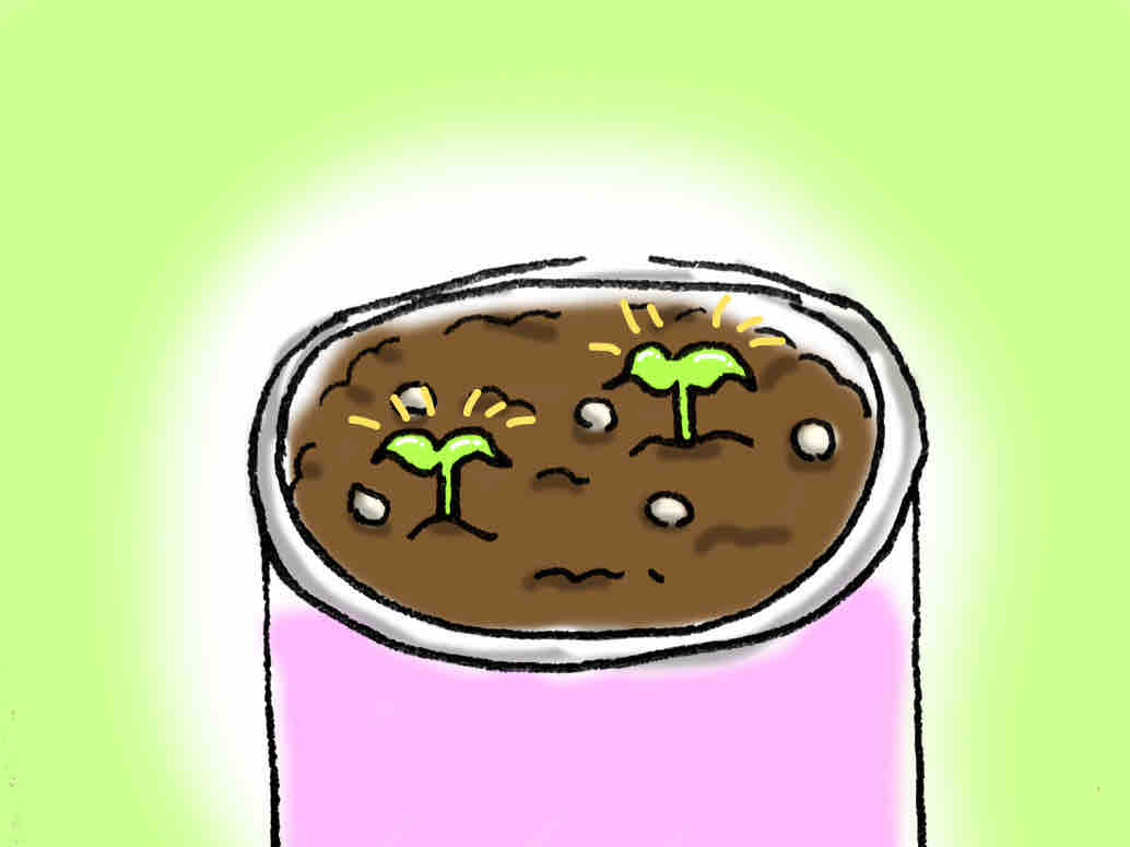 育てるハーブ コミュ障の絵日記です