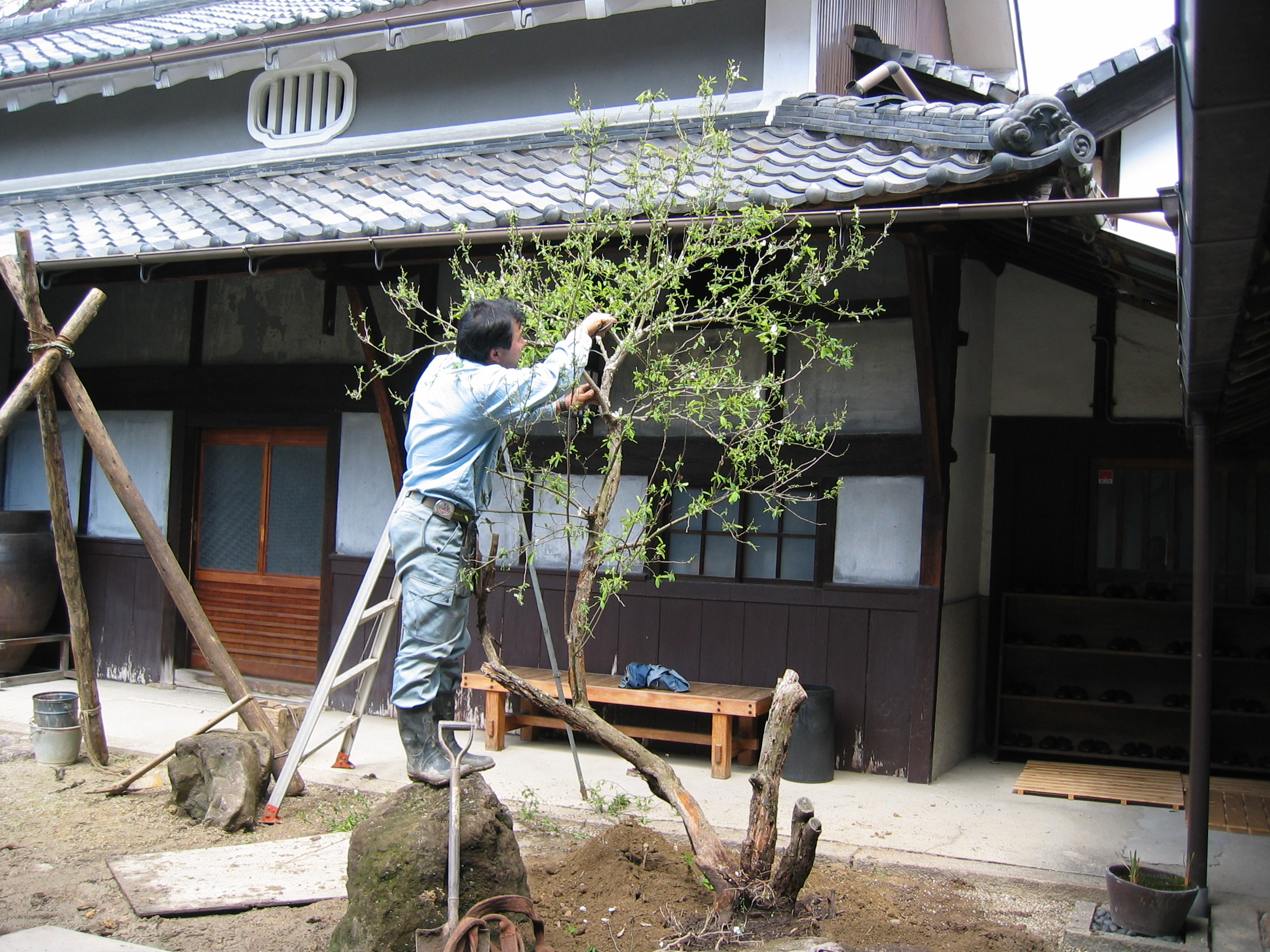 お引越し 無垢根の里の蔵便り