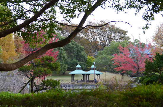 Çð¤ÎÍÕ¸ø±à