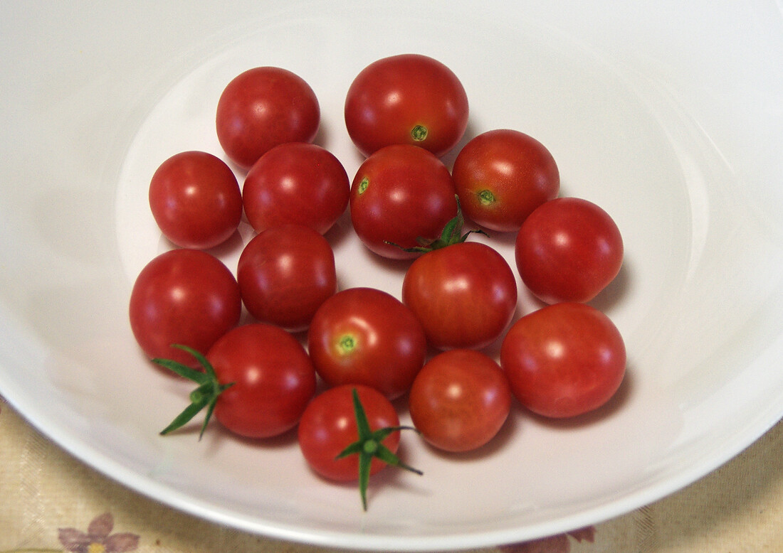 ミニトマト２種 中玉トマト トマト 花 実 毛など 妖精からの贈物