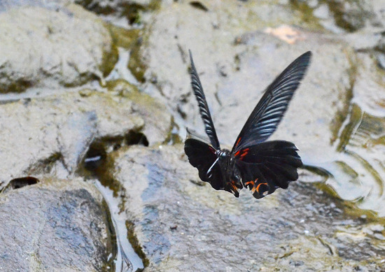 ¥Ê¥¬¥µ¥¥¢¥²¥Ï