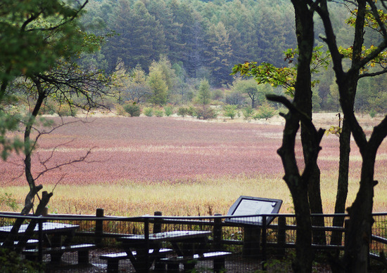 ¾®ÅÄÂå¥ö¸¶ÌÀ