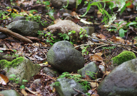 À¾¥Î¸Ð¼þÊÕ¤ÎÀÐ_edited-1