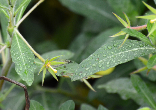 ¥ª¥ª¥Ð¥Ê¥ß¥º¥¥ó¥Ð¥¤