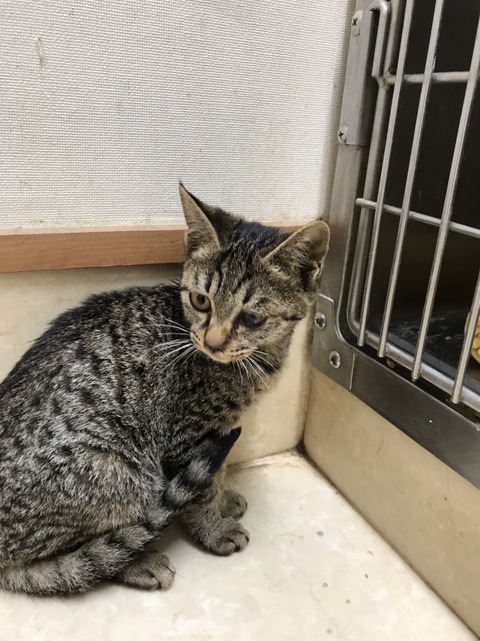 2C83D7D0-DEBC-406A-AE46-10823CB37367