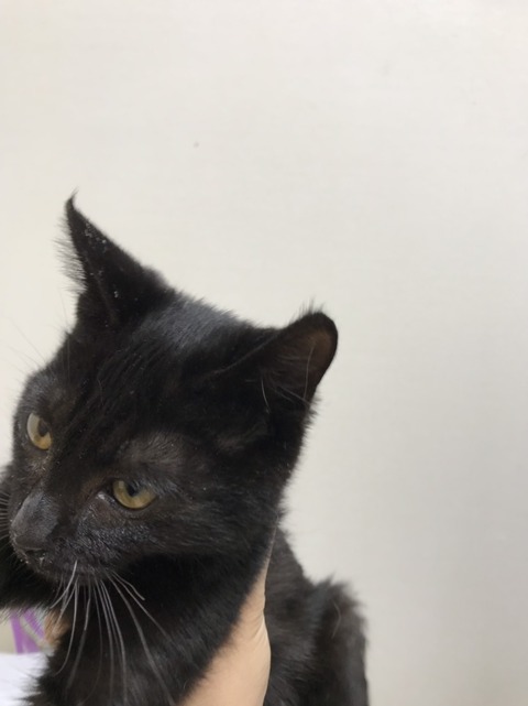 0F405973-9CD1-4382-8D6A-50DAC6C73C2F