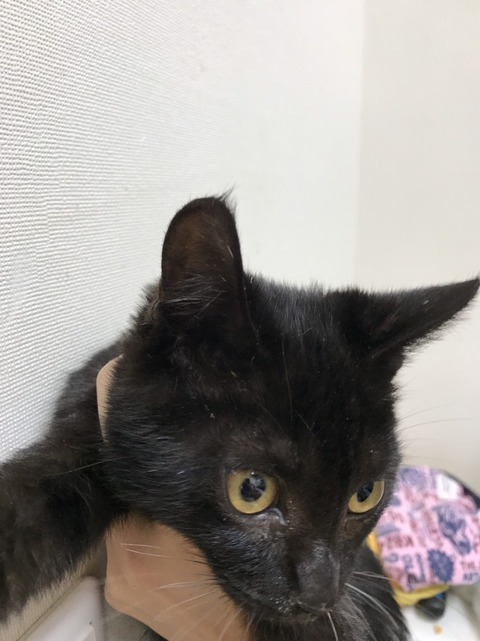 A10472CD-72DF-486F-8A4C-7F484B7FDC0B