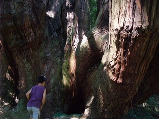 �������ܿ�����