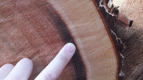 �����ӡʰܹԺ��