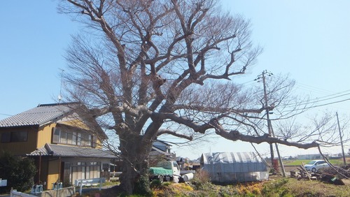 ��ð�Υ��䥭��