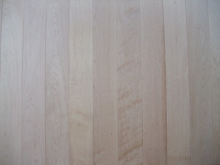 �Ĳ����ʥ᡼�ץ������̵���ե�����󥰡���