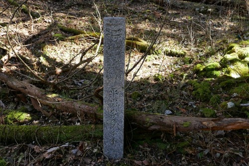 Ê¿´ä²È¤Î¥¤¥Á¥¤ 8