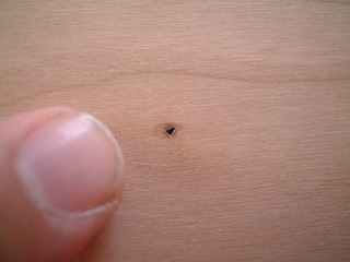 BC 130-P¥æ¥Ë¡¡¾®Àá