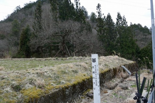 ÂçÆ¶¤Î¥¯¥ê¡¡9