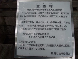 ·°³¸¾À¡¡£¹