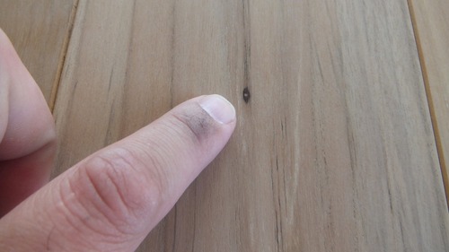 �ͥ���������� �ץ�ߥ����졼�ɣ�