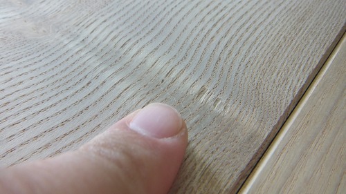 ���ä���ʤ�����礦�������������̵������ʪ�ե�����󥰣�