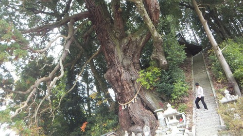 Ʋ���Υ�������ǯ���ˡ�9