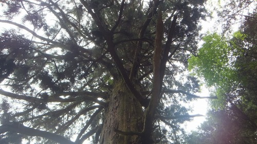 �۶��������ŷ�����