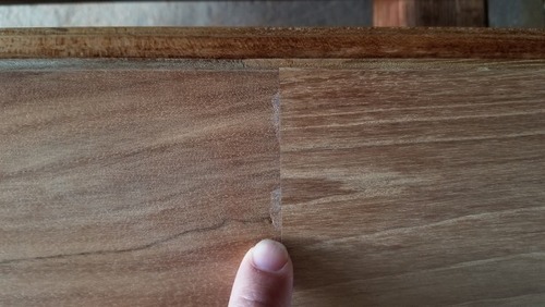 �ͥ��������������̵��UNI�ե������ �ץ�ߥ����졼����ħ��