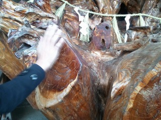 ����κ�����