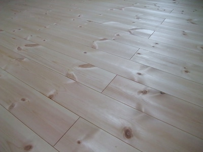 ËÌÍÎÀÖ¾¾¡Ê¥ì¥Ã¥É¥Ñ¥¤¥ó¡Ë̵¹¤¥Õ¥í¡¼¥ê¥ó¥°¡¡»Ü¹©£±£°