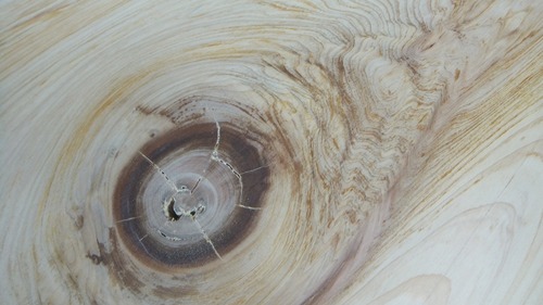 Å·ÈIJù©¸å¡¡£²